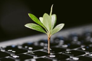 Descubra como as tecnologias sustentáveis estão moldando o futuro com inovações verdes. Energia limpa, mobilidade elétrica e mais.